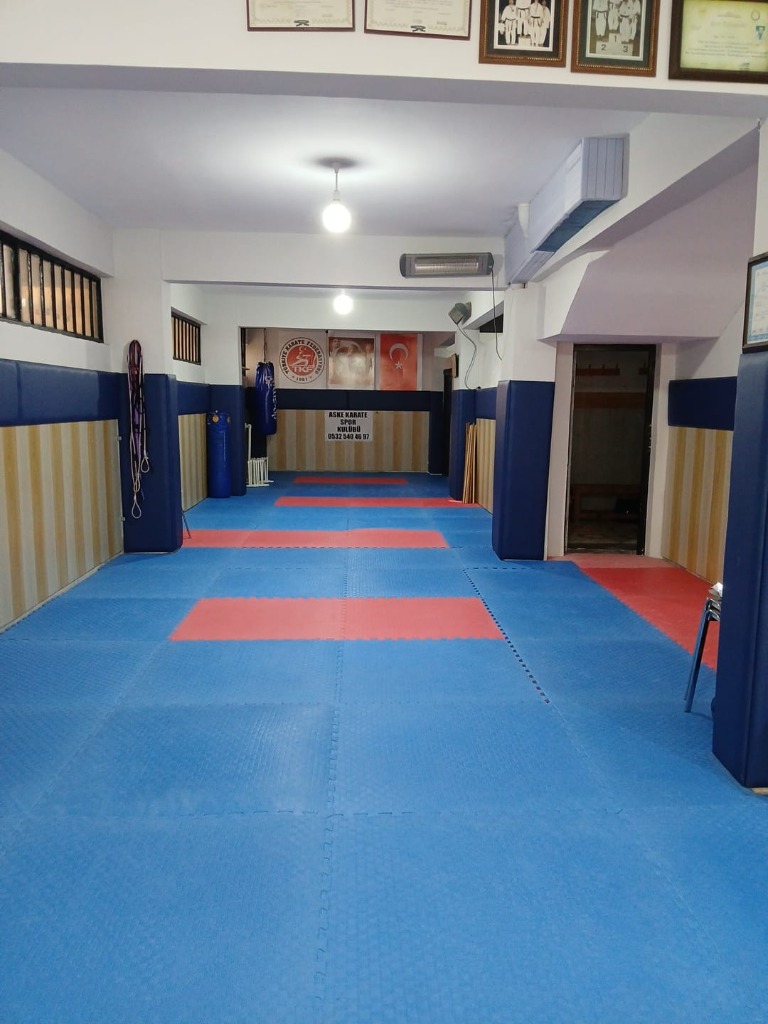 Aske Karate Salonu